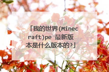 我的世界(Minecraft)pe 最新版本是什么版本的?
