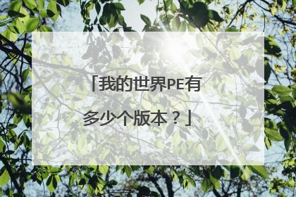 我的世界PE有多少个版本？