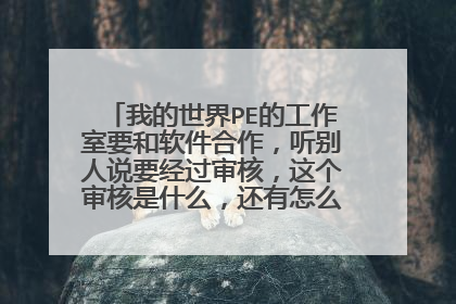 我的世界PE的工作室要和软件合作，听别人说要经过审核，这个审核是什么，还有怎么和软件合作