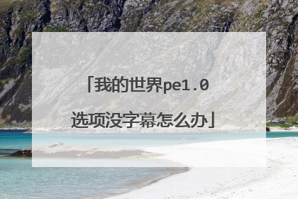 我的世界pe1.0 选项没字幕怎么办