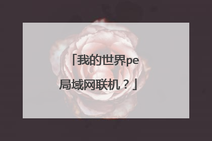 我的世界pe局域网联机?