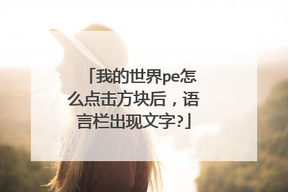 我的世界pe怎么点击方块后，语言栏出现文字?