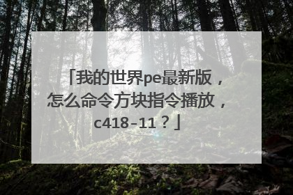 我的世界pe最新版,怎么命令方块指令播放,c418-11?