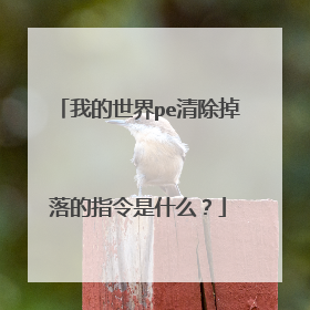 我的世界pe清除掉落的指令是什么？