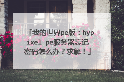 我的世界pe版：hypixel pe服务器忘记密码怎么办？求解！