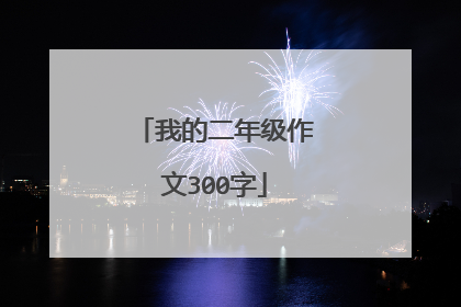 我的二年级作文300字
