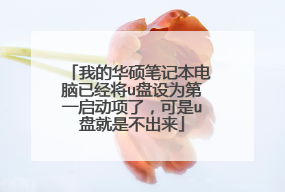 我的华硕笔记本电脑已经将u盘设为第一启动项了,可是u盘就是不出来