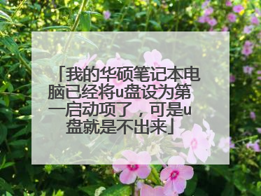 我的华硕笔记本电脑已经将u盘设为第一启动项了,可是u盘就是不出来