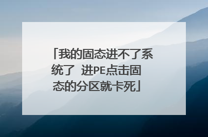 我的固态进不了系统了 进PE点击固态的分区就卡死