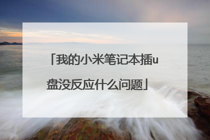 我的小米笔记本插u盘没反应什么问题