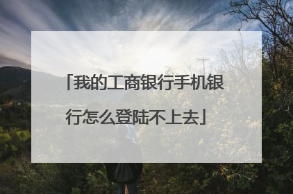 我的工商银行手机银行怎么登陆不上去