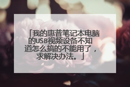 我的惠普笔记本电脑的USB视频设备不知道怎么搞的不能用了,求解决办法。
