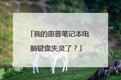 我的惠普笔记本电脑键盘失灵了?