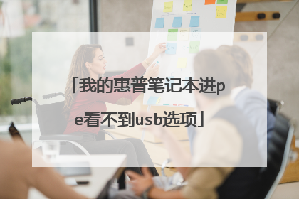我的惠普笔记本进pe看不到usb选项