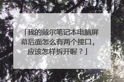 我的戴尔笔记本电脑屏幕后面怎么有两个接口,应该怎样拆开喔?