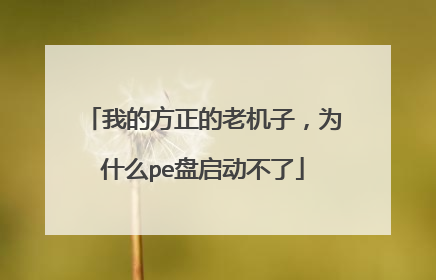 我的方正的老机子,为什么pe盘启动不了
