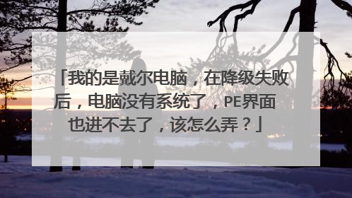 我的是戴尔电脑，在降级失败后，电脑没有系统了，PE界面也进不去了，该怎么弄？