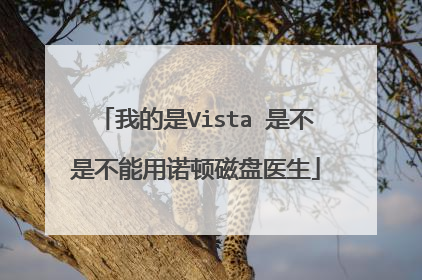 我的是Vista 是不是不能用诺顿磁盘医生