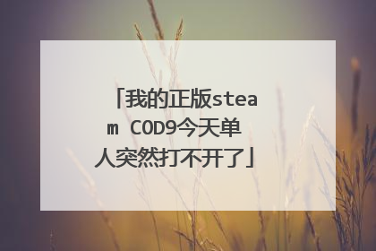 我的正版steam COD9今天单人突然打不开了