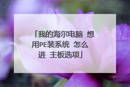 我的海尔电脑 想用PE装系统 怎么进 主板选项