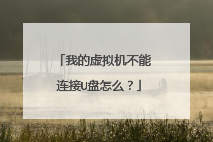我的虚拟机不能连接U盘怎么？