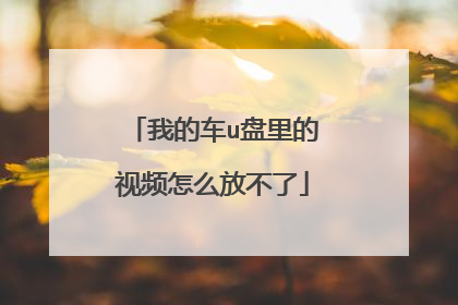 我的车u盘里的视频怎么放不了