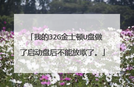我的32G金士顿U盘做了启动盘后不能放歌了。