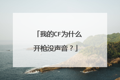 我的CF为什么开枪没声音?