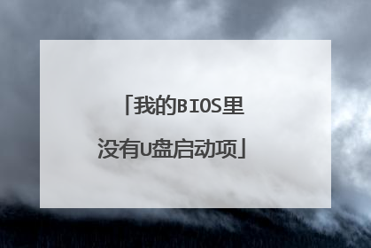 我的BIOS里没有U盘启动项