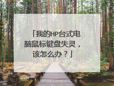 我的HP台式电脑鼠标键盘失灵，该怎么办？