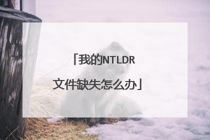 我的NTLDR文件缺失怎么办