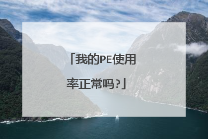 我的PE使用率正常吗?
