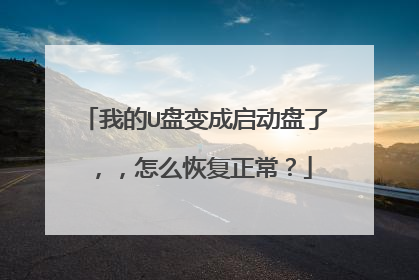 我的U盘变成启动盘了，，怎么恢复正常？