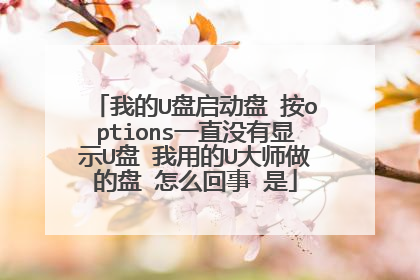 我的U盘启动盘 按options一直没有显示U盘 我用的U大师做的盘 怎么回事 是