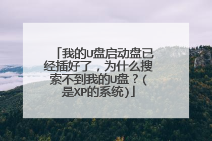 我的U盘启动盘已经插好了,为什么搜索不到我的U盘?(是XP的系统)