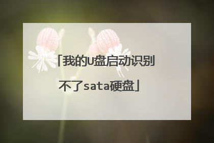 我的U盘启动识别不了sata硬盘