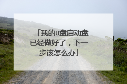 我的U盘启动盘已经做好了，下一步该怎么办