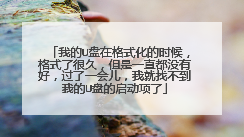 我的U盘在格式化的时候,格式了很久,但是一直都没有好,过了一会儿,我就找不到我的U盘的启动项了