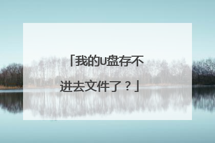 我的U盘存不进去文件了?