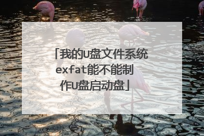 我的U盘文件系统exfat能不能制作U盘启动盘