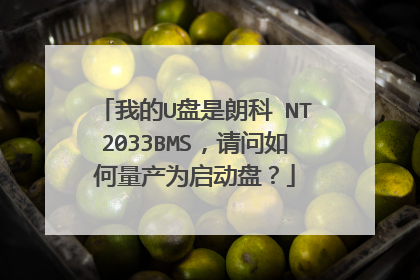 我的U盘是朗科 NT2033BMS,请问如何量产为启动盘?