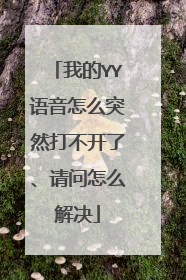 我的YY语音怎么突然打不开了、请问怎么解决
