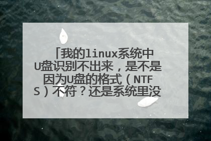 我的linux系统中U盘识别不出来，是不是因为U盘的格式（NTFS）不符？还是系统里没有USB驱动？