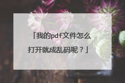 我的pdf文件怎么打开就成乱码呢?