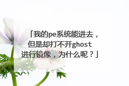 我的pe系统能进去,但是却打不开ghost进行镜像,为什么呢?