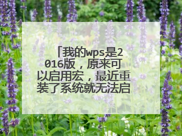 我的wps是2016版，原来可以启用宏，最近重装了系统就无法启用宏了。请问大神怎么办啊。