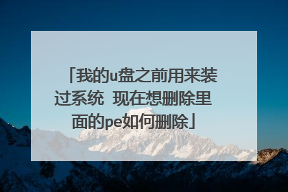 我的u盘之前用来装过系统 现在想删除里面的pe如何删除