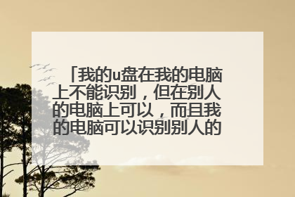 我的u盘在我的电脑上不能识别,但在别人的电脑上可以,而且我的电脑可以识别别人的u盘,为什么?