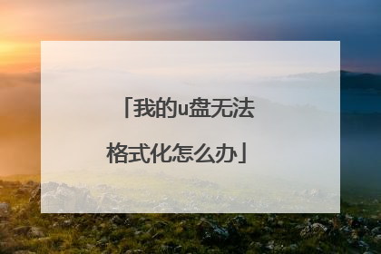我的u盘无法格式化怎么办