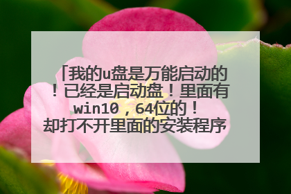 我的u盘是万能启动的!已经是启动盘!里面有win10,64位的!却打不开里面的安装程序。怎么回事?